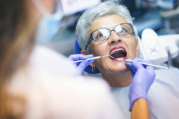 Professional  Holistic Dental Services in Elk River, MN